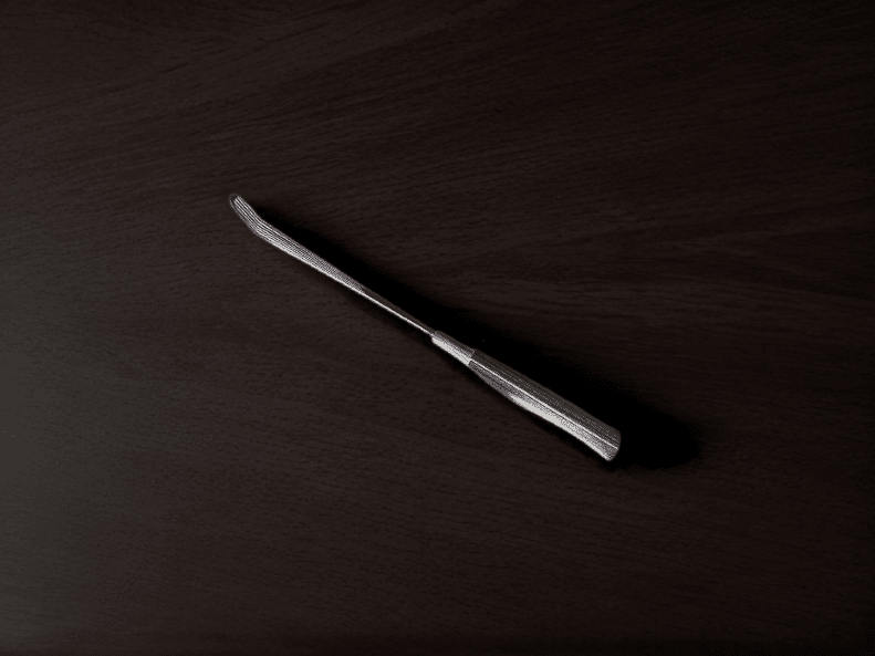Slotted Fish Turner / Spatula